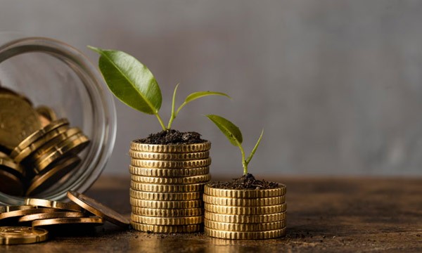 全国政协委员唐俊杰：加快制定《仓单法》，助力中小企业融资