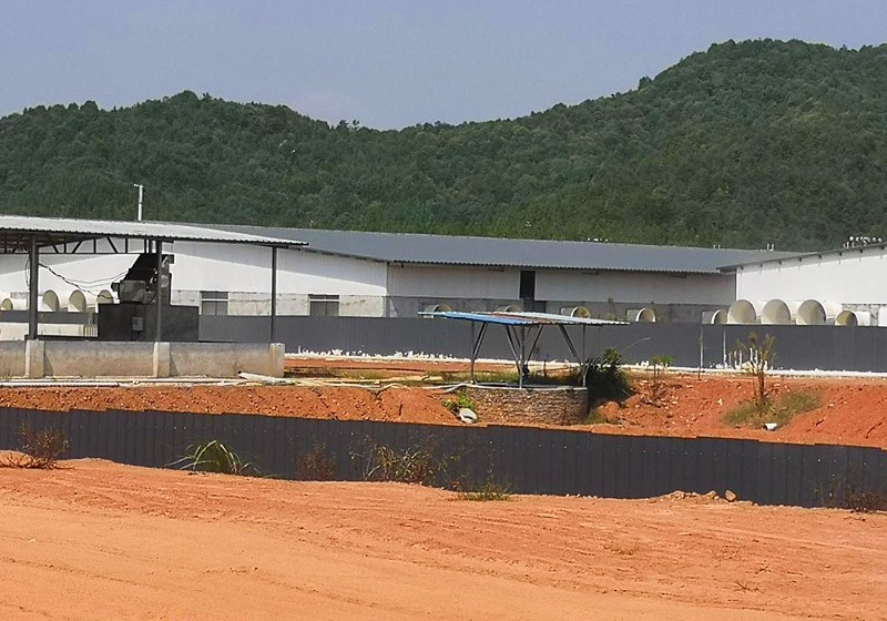 养殖有限责任公司年存栏1000头祖代（GP）种猪监管